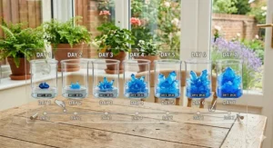 An educational diagram showing the stages of crystal growth over seven days in a home laboratory setting.